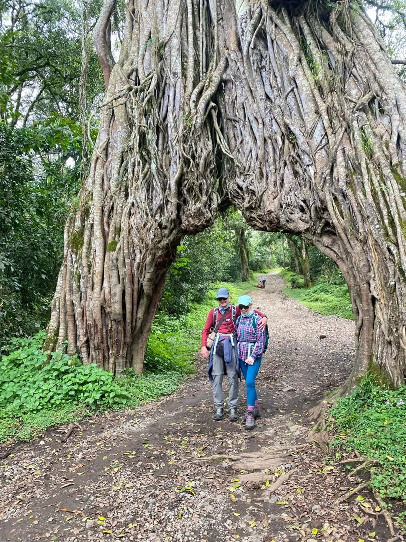 Mount Kilimanjaro trekking landscape